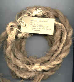 Cuerda hecha con fibras de Bromelia smithii