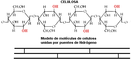 celulosa
