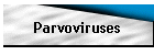 Parvoviruses