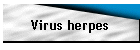 Virus herpes