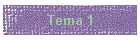 Tema 1