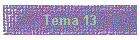 Tema 13