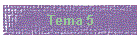 Tema 5