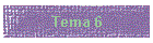 Tema 6