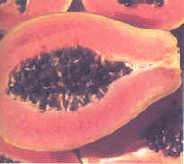 Placentacion parietal 