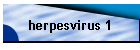 herpesvirus 1