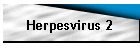 Herpesvirus 2