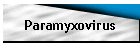 Paramyxovirus