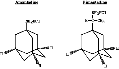 amarima2.gif (2384 bytes)