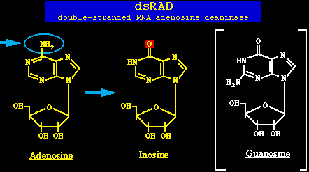 hdv9710.gif (4974 bytes)