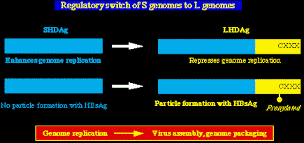 hdv975.gif (4285 bytes)