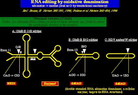 hdv976.gif (8719 bytes)