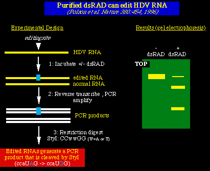 hdv978.gif (5942 bytes)
