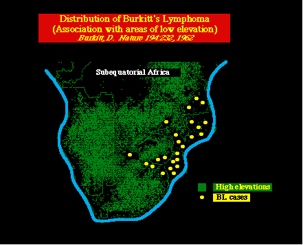 herp97BB1.gif (9135 bytes)