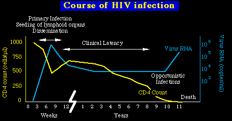 hiv99A3.gif (4842 bytes)