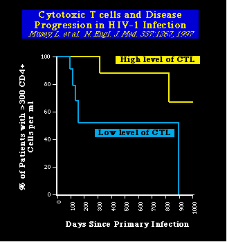 hiv99A5.gif (4716 bytes)