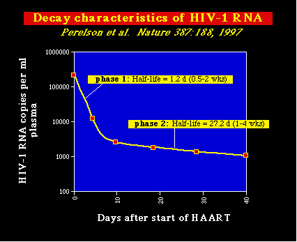hiv99A6.gif (5206 bytes)