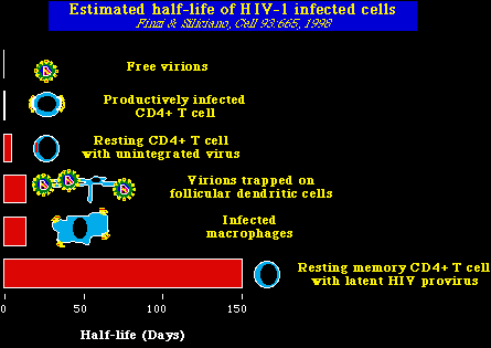 hiv99A7.gif (6022 bytes)
