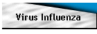 Virus Influenza