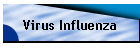 Virus Influenza